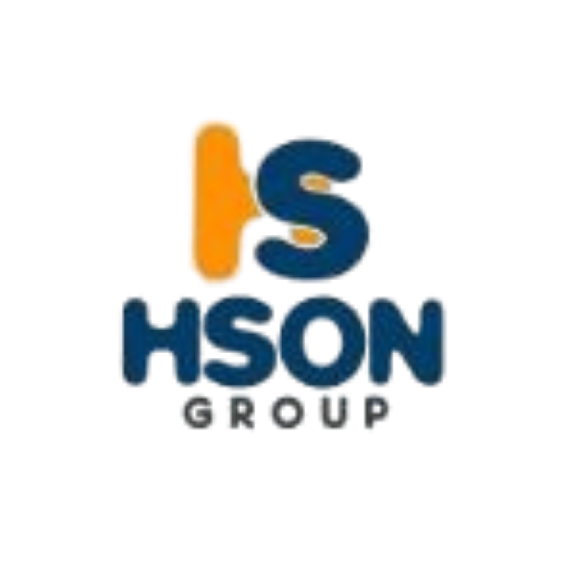HSON GROUP