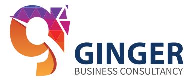 GINGER CONSULTANCY
