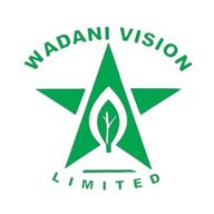 WADANI VISION LIMITED