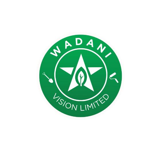 WADANI VISION LIMITED